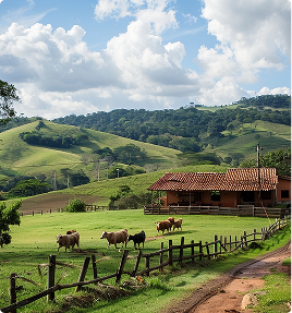 Como a rastreabilidade transforma a cadeia de proteína animal