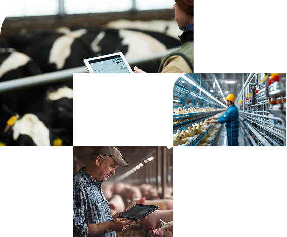 Operações agroindustriais conectadas pela Tagat